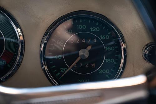 356CBlanche 42